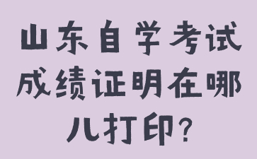 山东自学考试成绩证明在哪儿打印?