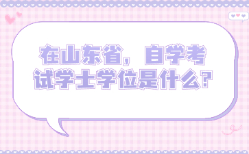 在山东省，自学考试学士学位是什么?