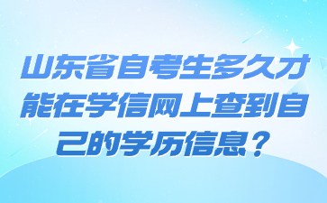 山东省自考生多久才能在学信网上查到自己的学历信息?