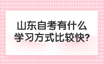 山东自考有什么学习方式比较快?